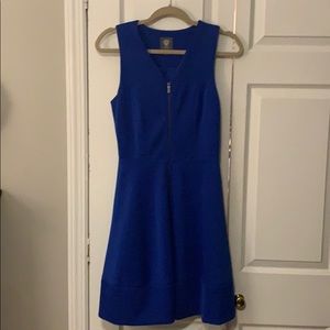 Vince Camuto Royal Blue Dress